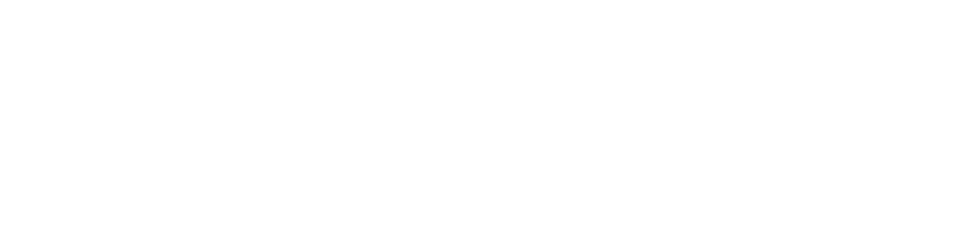 Oil Portrait Painter